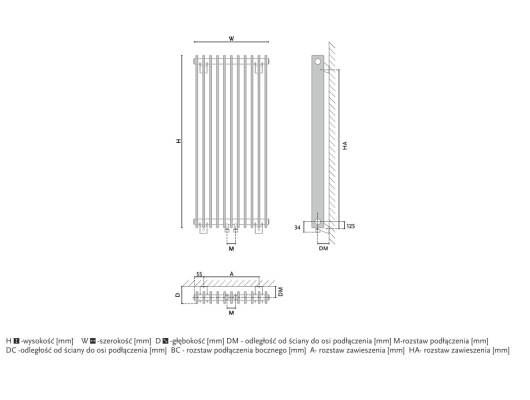 Radiator design GORGIEL IBERIS V AIB V 100/20