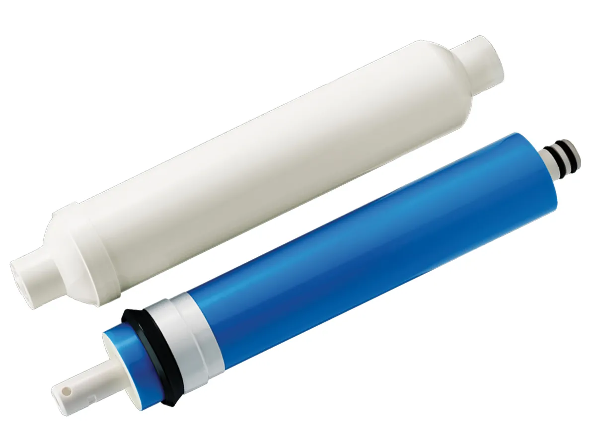 Set de cartuse (membrana si postcarbon) pentru sistem cu osmoza inversa ECOSOFT (4-5) (CSVRO50ECOEXP)