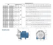 Pompa electrica centrifuga Pedrollo CPm150 ST4 (AISI 304)